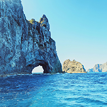 Bay of Islands: Picturesque Sailing Paradise, Dolphin and Whale Watching