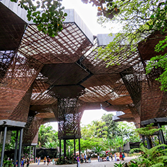 Medellín'- Innovative urban development & renowned cultural festivals