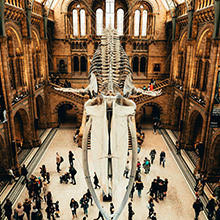 The British Museum: Renowned Museum with Global Artifacts
