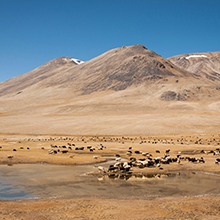 Sarazm – Ancient Silk Road Archaeological Site