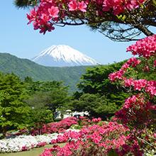 Mount Fuji: Iconic Japanese Landmark and World Heritage Site