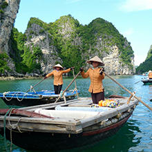 Halong Bay's Spectacular Karst Limestone Formations