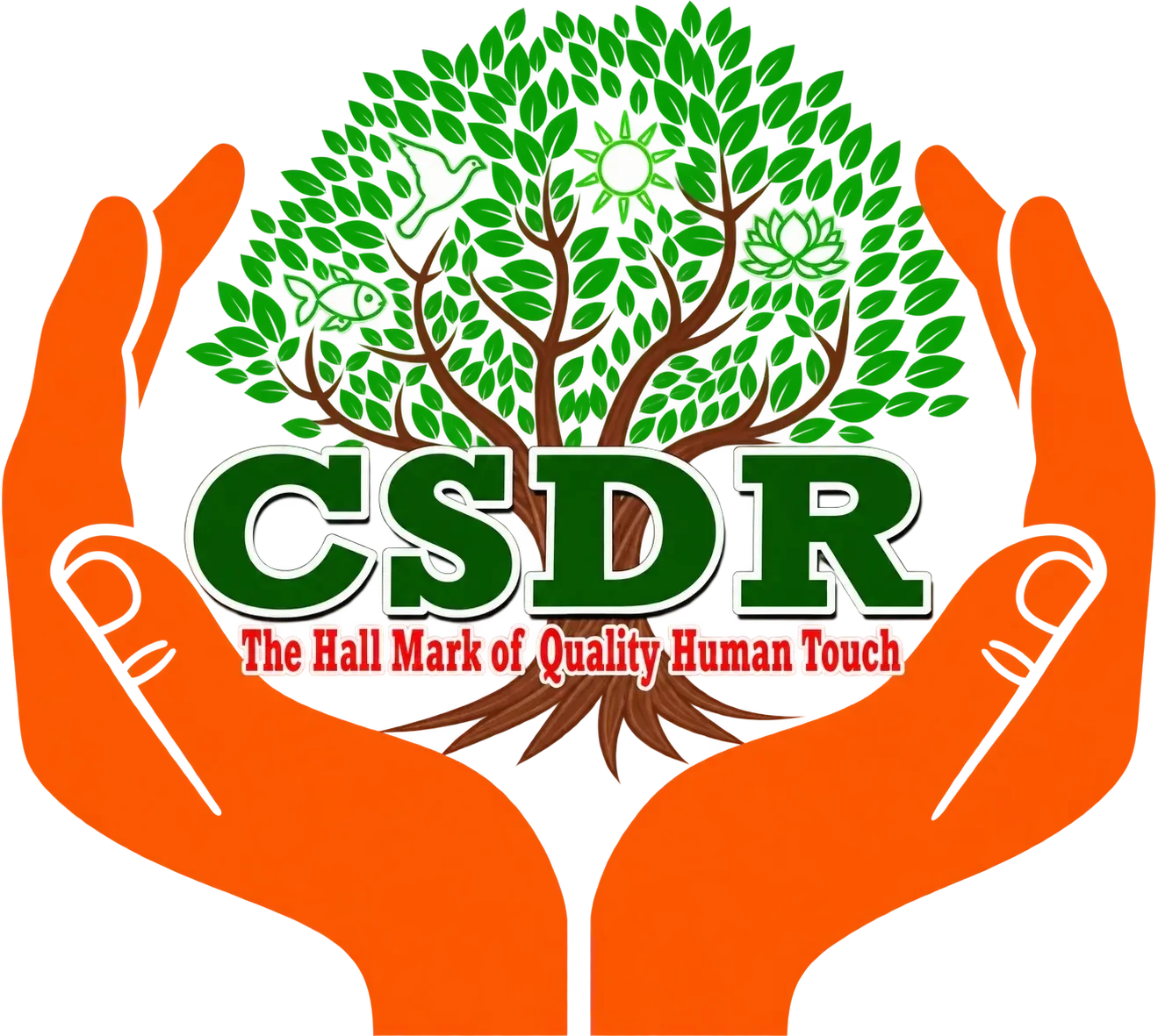 CSDR