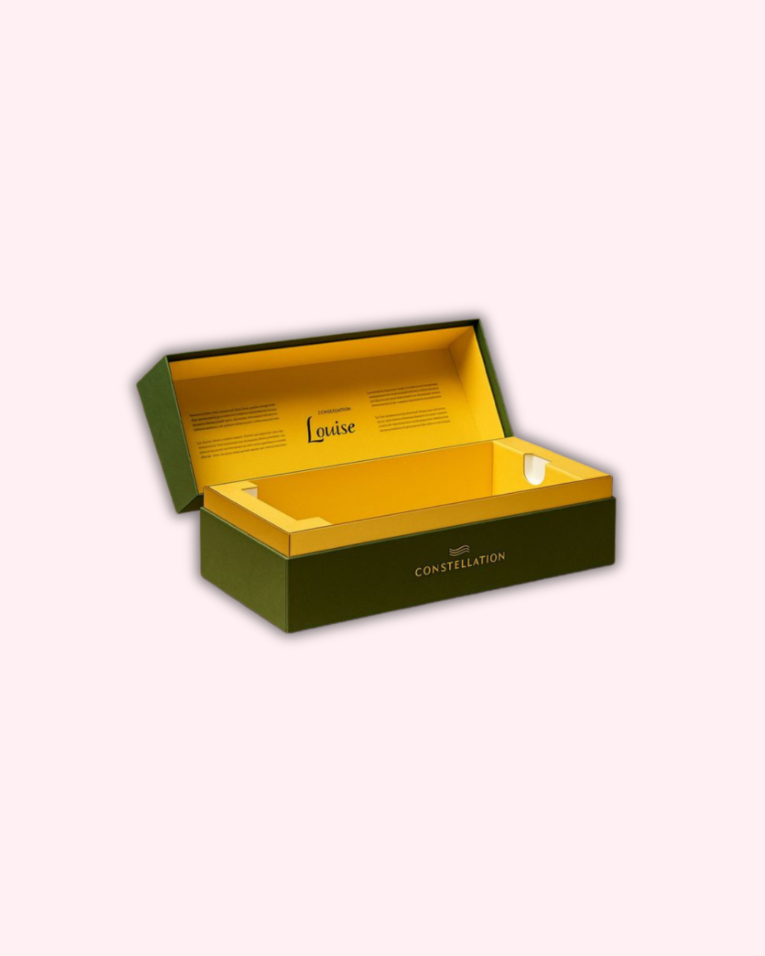 Watch Box