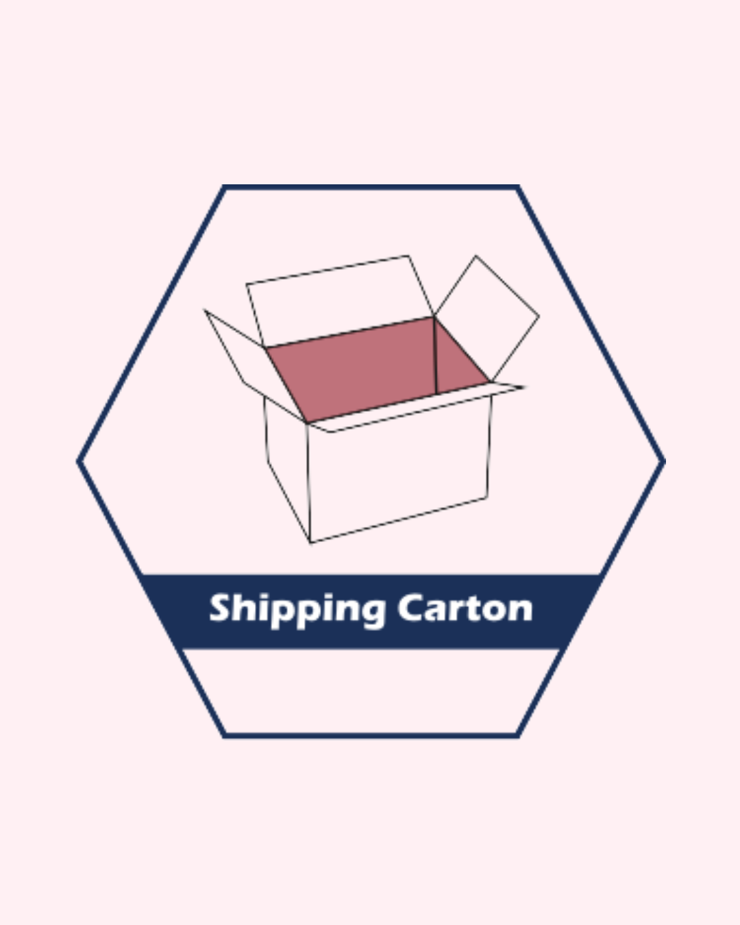 Shipping Carton