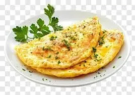EGG OMLET