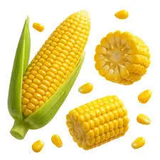 Sweet corn 