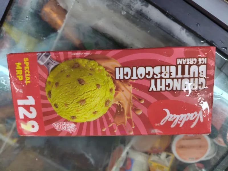 VADILAL ICECREAM 🍦