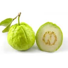 GUAVA
