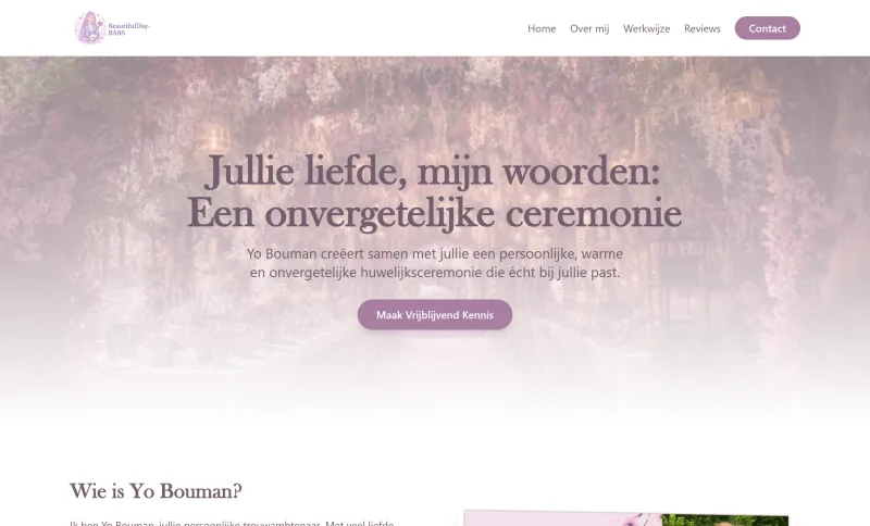 Screenshot van de website van BABS