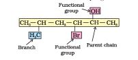 Use the parent chain, branch and functional groups to identify parts of a systematic name.