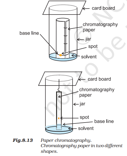 Paper chromatography arrangements showing the sample spot, solvent and baseline inside a jar.