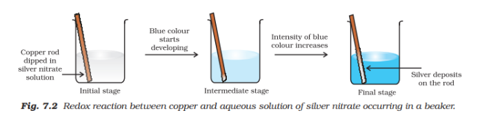 Copper displaces silver from solution, leaving silver deposits and a blue solution.
