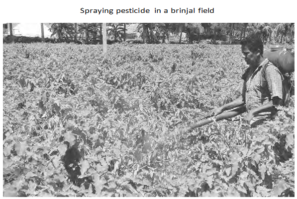 Pesticide spraying