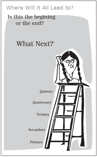 A ladder represents the progression from primary through quinary activities.