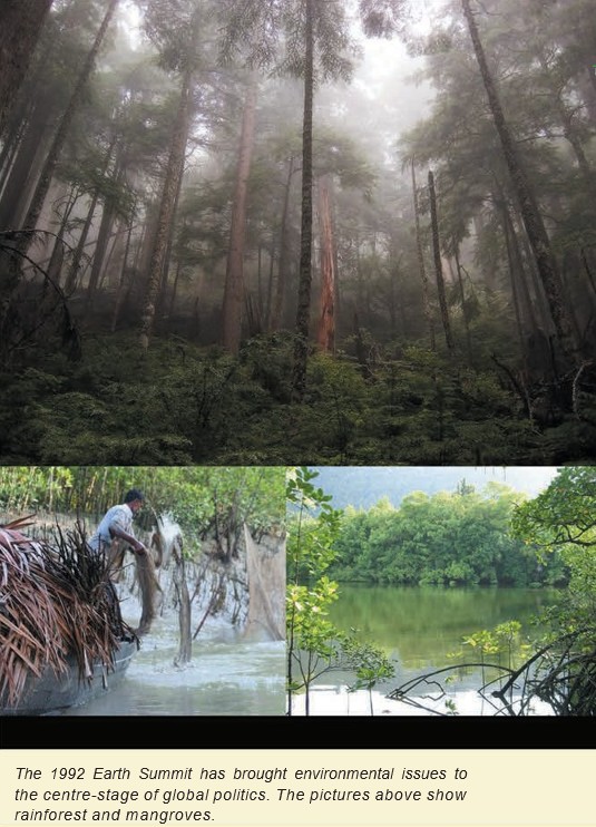 Rainforest and mangrove ecosystems illustrate environments involved in global environmental politics.