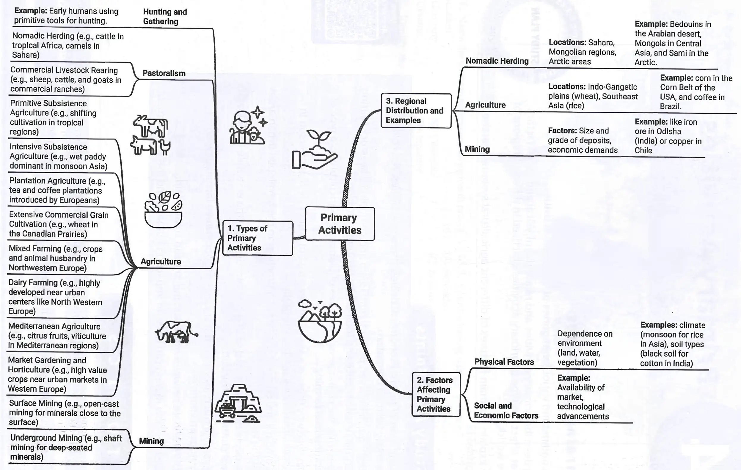 Primary Activities Mind Map