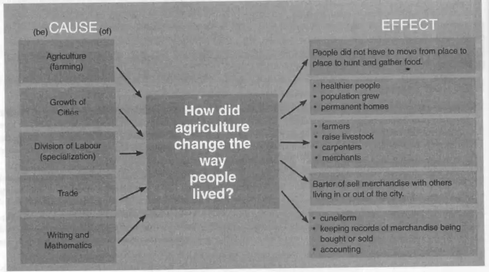 Cause and Effect of Agriculture
