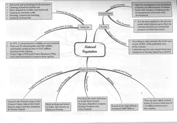 Natural Vegetation Mind Map
