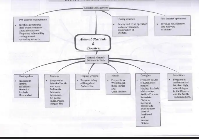 Disaster Management Flowchart