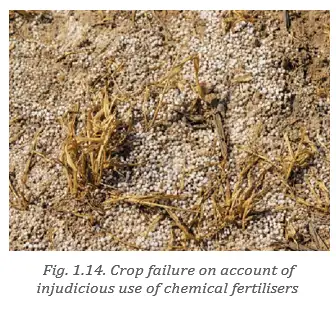 Soil degradation due to chemical fertilizers