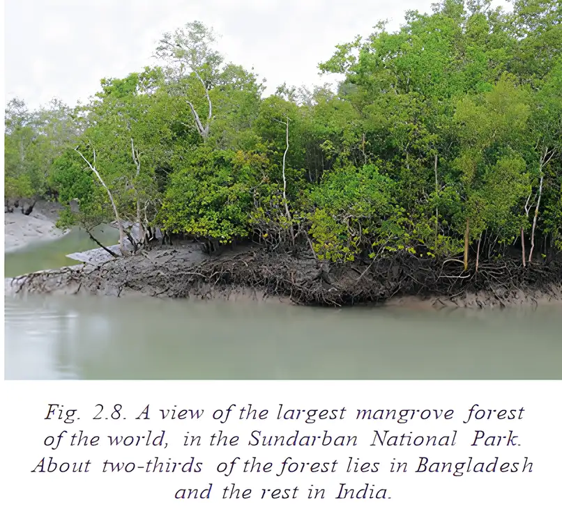 Sundarban National Park