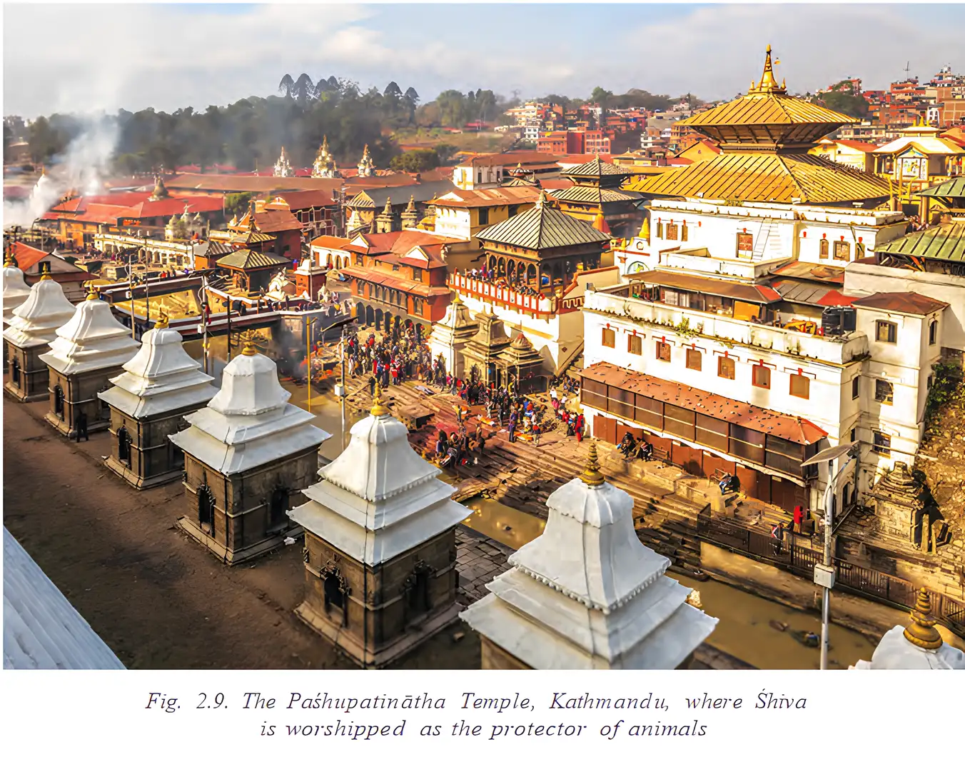 Pashupatinatha Temple