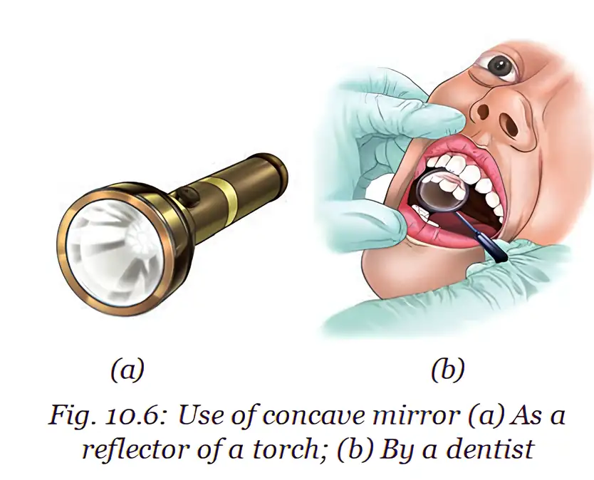 Concave mirrors used in torch reflectors and dentists’ mirrors.