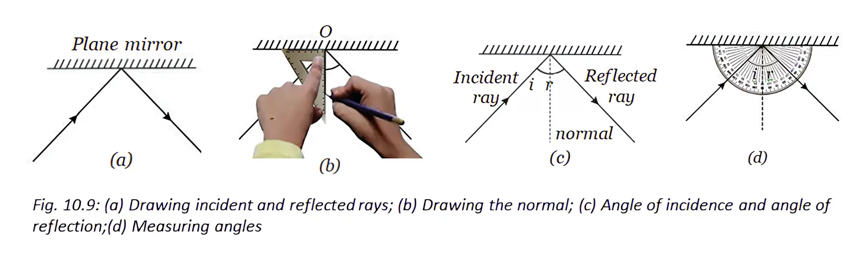 Diagram showing the incident ray, reflected ray, normal, and the two angles measured from the normal.