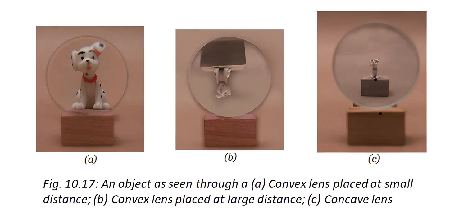 An object viewed through a convex lens at different distances and through a concave lens.