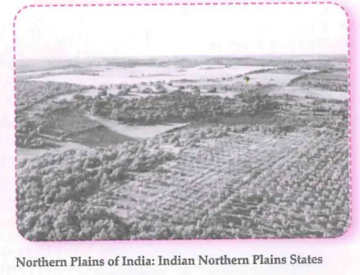Northern Plains Landscape