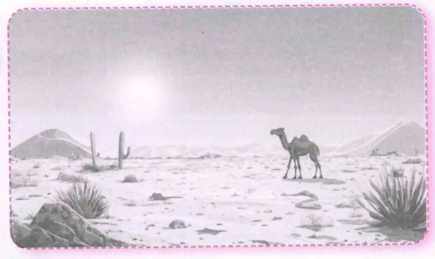 Thar Desert Landscape with Camel