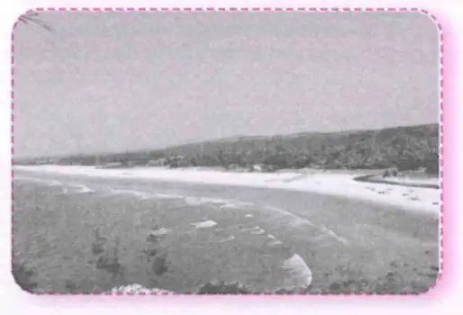Western Coastal Plains Beach