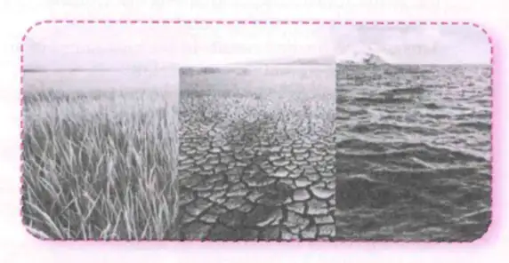 Natural environments Natural environments showing field, dry soil and water