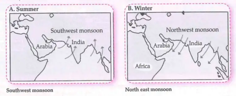 Monsoon Winds Monsoon wind directions
