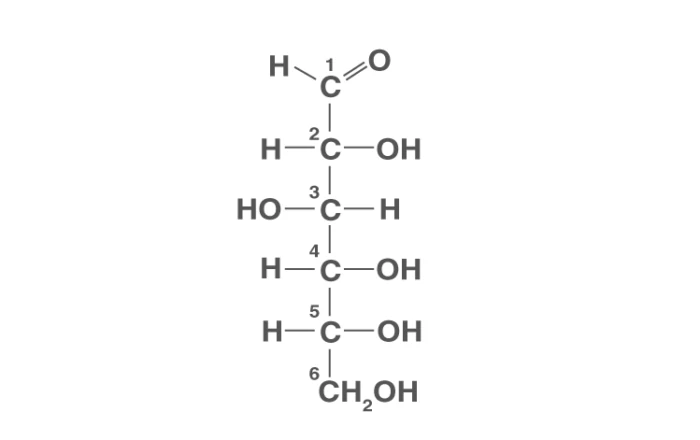 Molecular structure of glucose, a simple carbohydrate