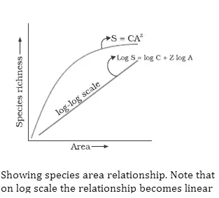 Image from analysis Uploaded image analysis