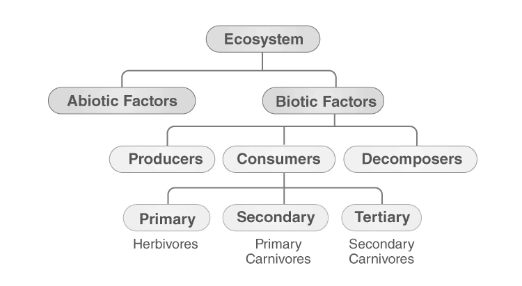 Biotic components in an ecosystem