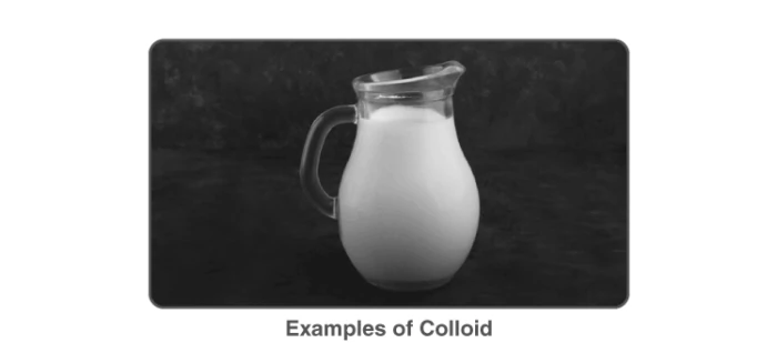 Various food items illustrating colloidal mixtures