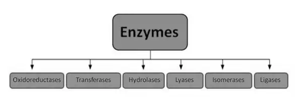 Image from analysis Uploaded image analysis