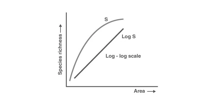 Graph illustrating species-area relationship