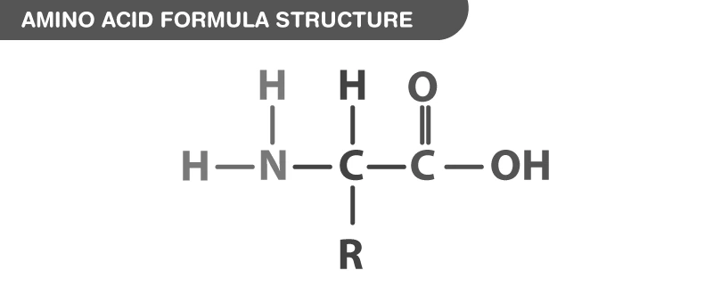 Chemical structure of an amino acid showing amino and carboxyl groups