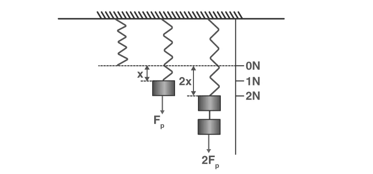 Illustration of spring elongation under different loads