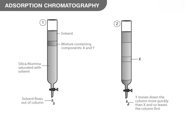 Image from analysis Uploaded image analysis