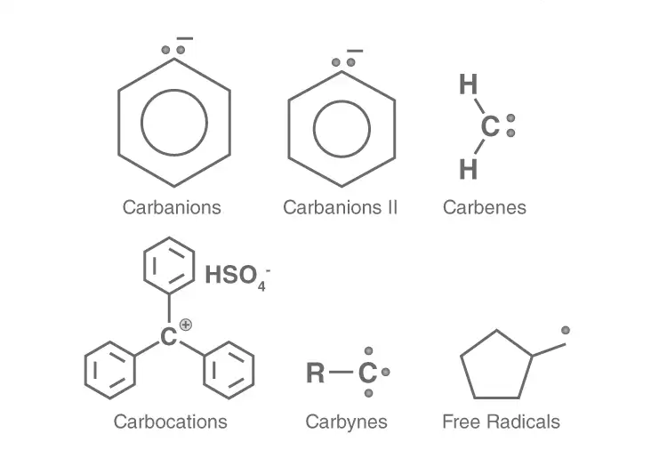 Image from analysis Uploaded image analysis