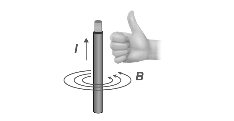 Illustration of magnetic field lines around a current-carrying conductor