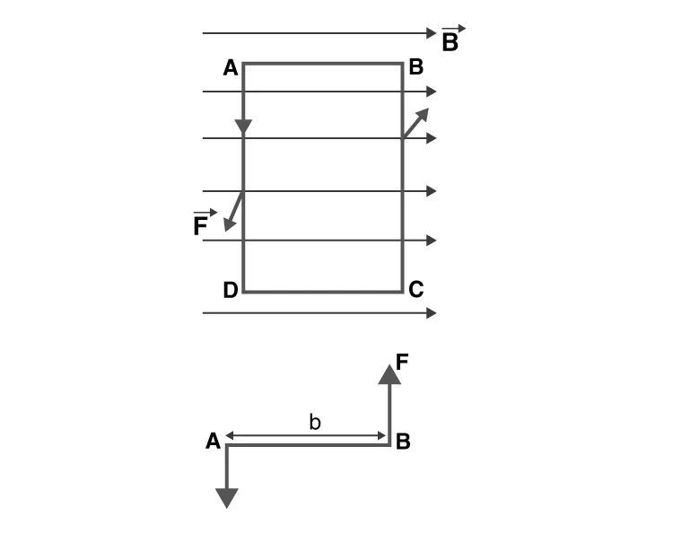 Forces acting on coil in magnetic field