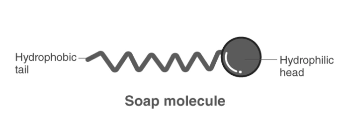 Diagram showing micelle structure in water