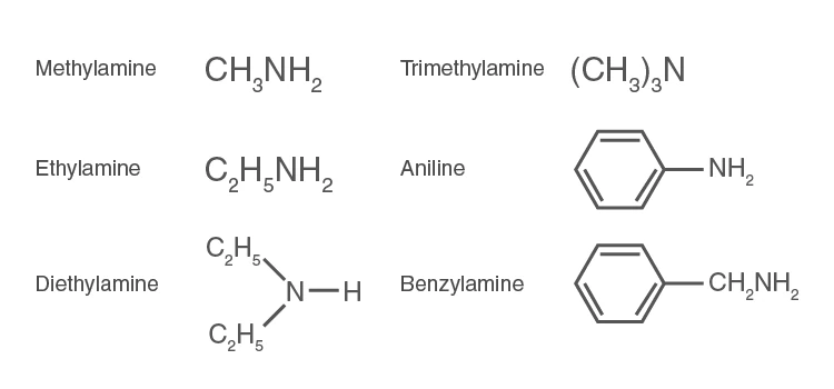 Molecular structure of amines showing nitrogen atom with lone pair