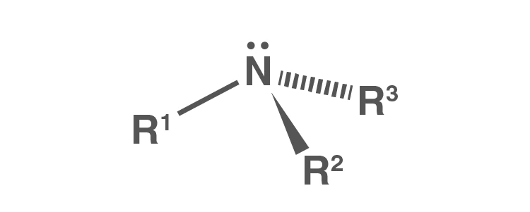 Natural sources of amines in biological molecules